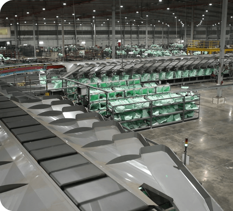Cross Belt Sorter