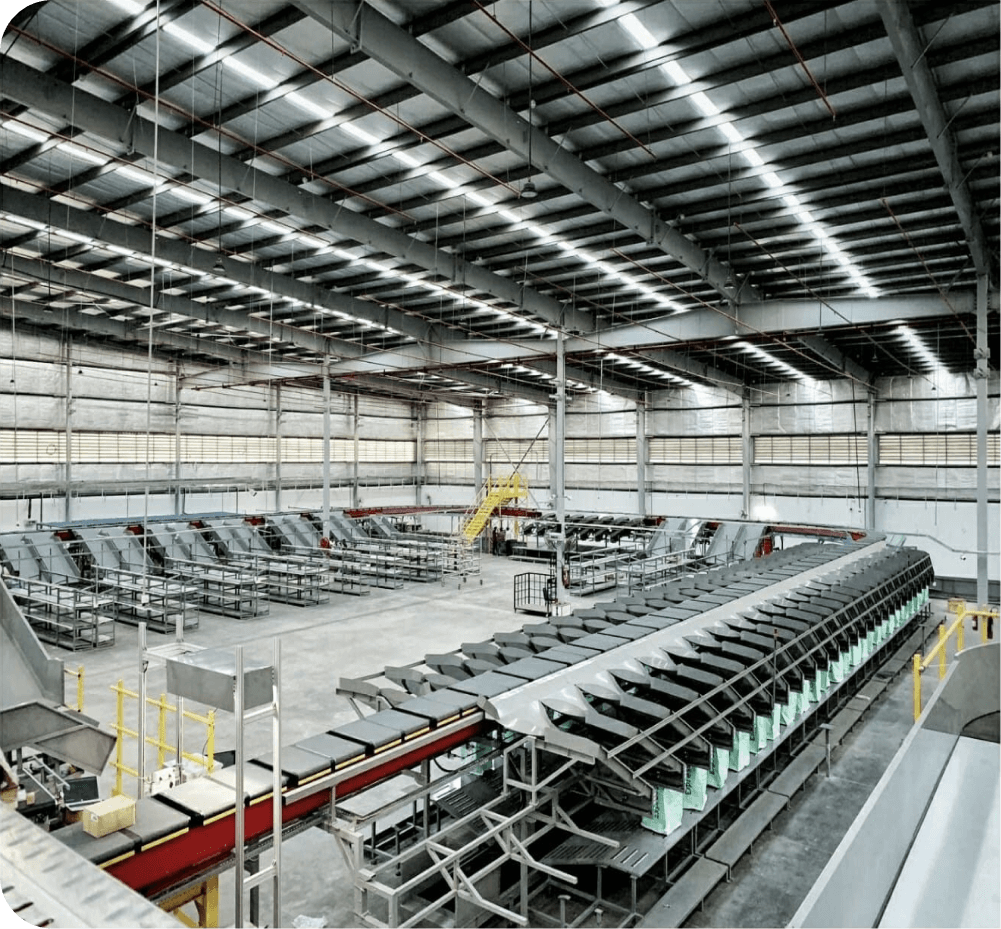 Cross Belt Sorter