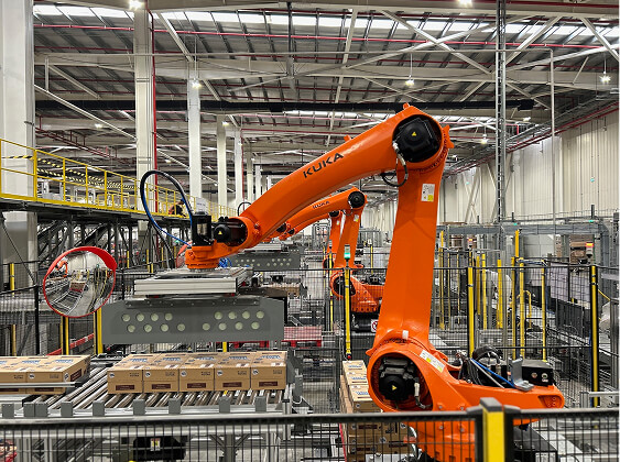 Palletizing & Depalletizing