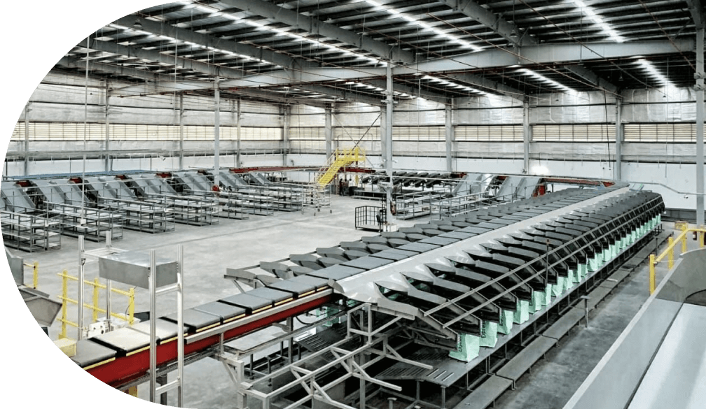 palletizing